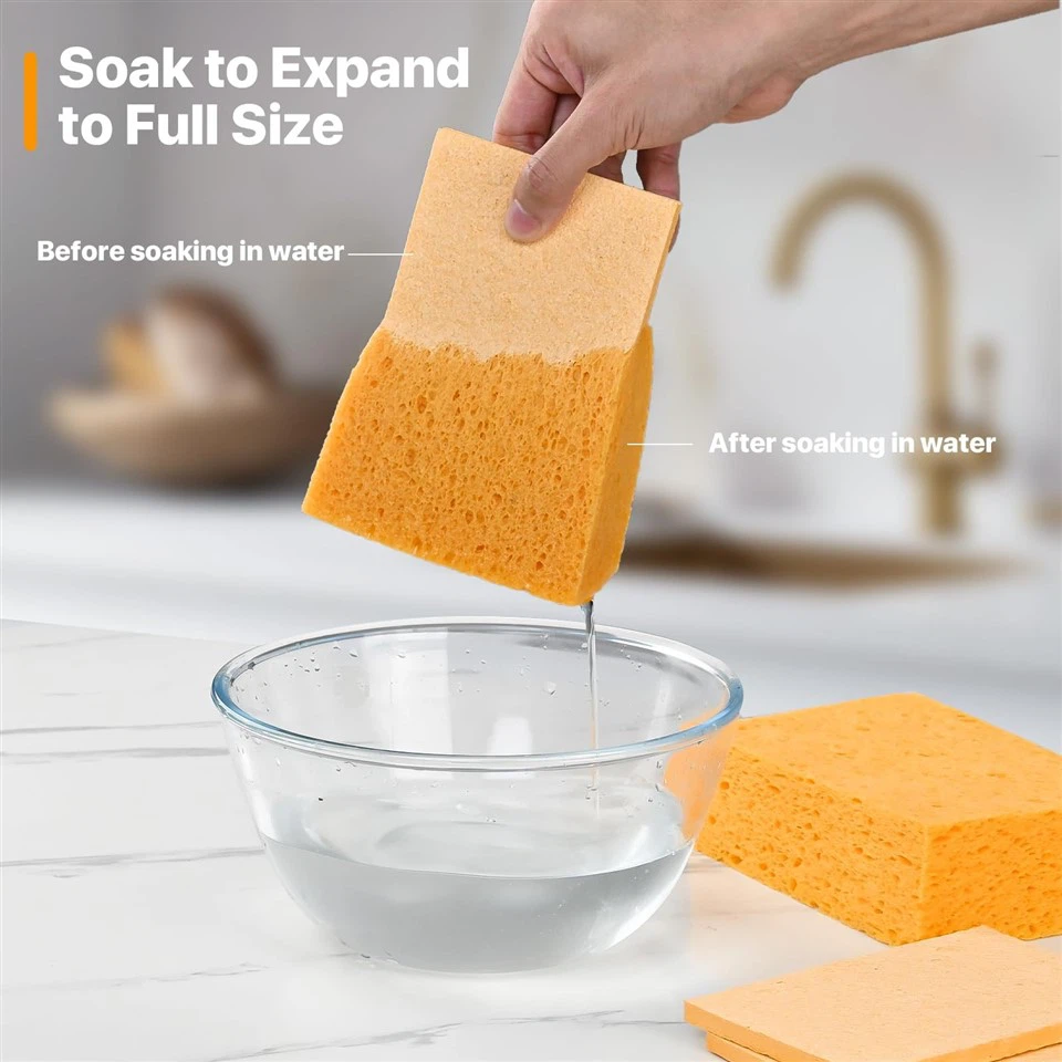 Large Natural Cellulose Sponges price